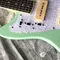 Customized Quality Electric Guitar in Light Green Color with White Hardware supplier